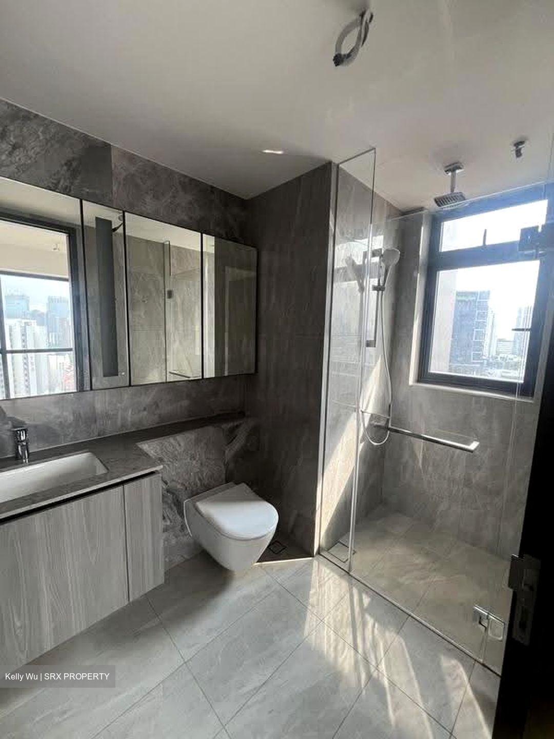 Piccadilly Grand (D8), Apartment #629289651
